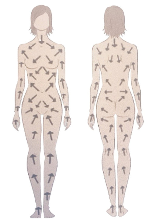 Body Ionic Brush